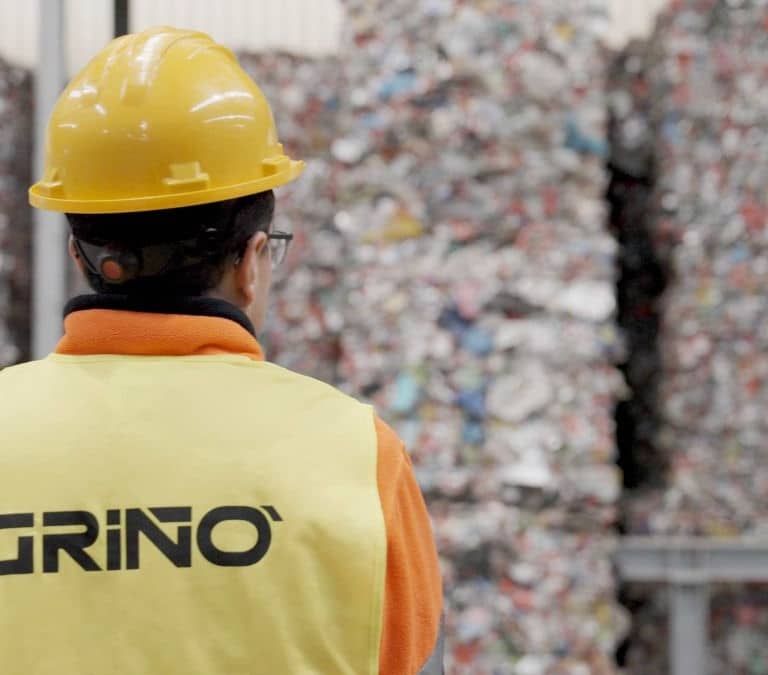 Grupo Griñó cierra 2024 con más de 200 millones de facturación