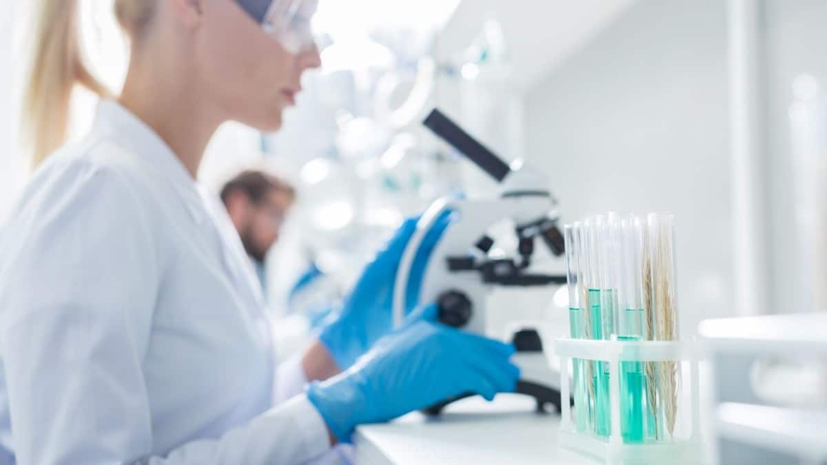 Novartis presena nuevos estudios sobre la eficacia sostenida de un fármaco para la esclerosis múltiple recurrente