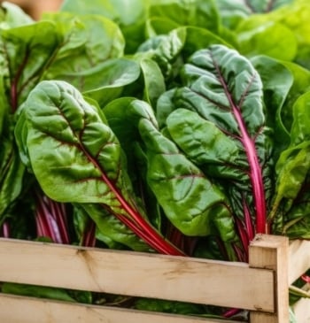 Por qué deberías incluir las acelgas a tu dieta habitual