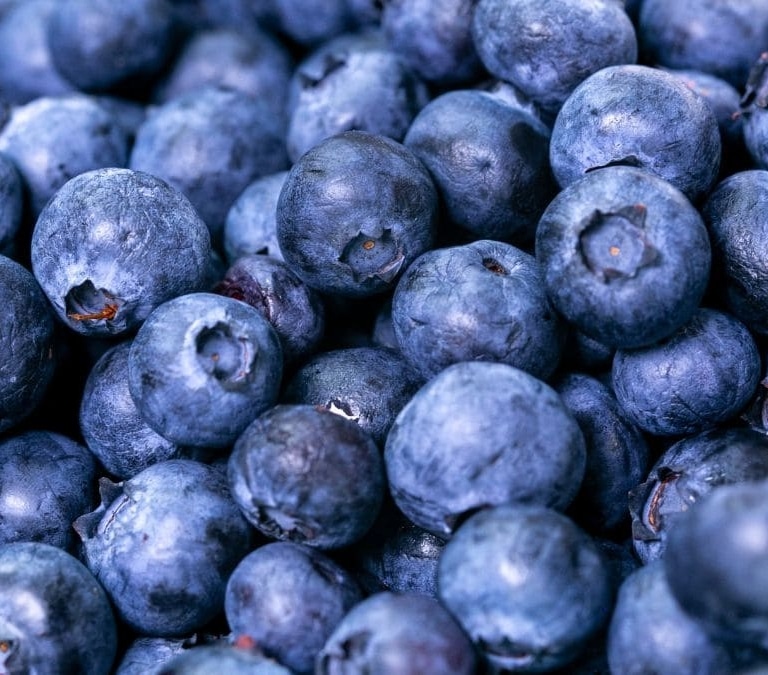 Estos son los beneficios para el organismo de consumir arándanos