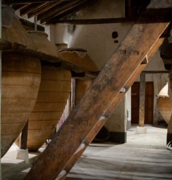 Las Vegas y Alcarria Madrileña, donde nacen más de la mitad de [...]