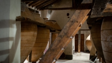 Las Vegas y Alcarria Madrileña, donde nacen más de la mitad de los vinos de Madrid