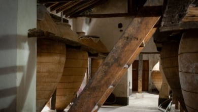 Las Vegas y Alcarria Madrileña, donde nacen más de la mitad de los vinos de Madrid