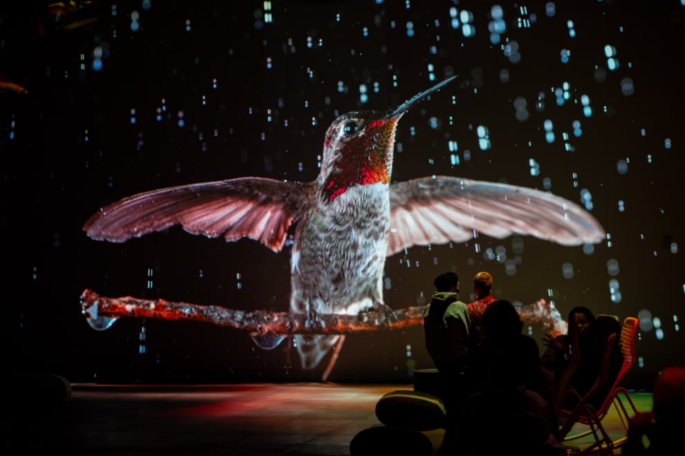 Visitantes en la experiencia inmersiva «Somos naturaleza»