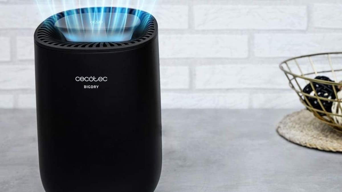 Cecotec BigDry 2000 Light: la solución para eliminar la humedad y disfrutar de un hogar cómodo y agradable por 40€