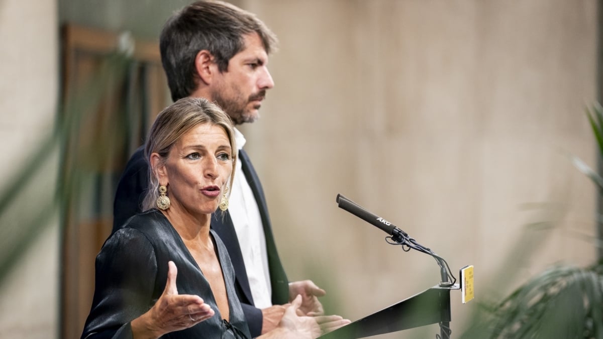 La vicepresidenta segunda y ministra de Trabajo, Yolanda Díaz, en un acto con entidades ecologistas y el Colegio de Ingenieros Técnicos Forestales, este miércoles en el Ministerio de Trabajo