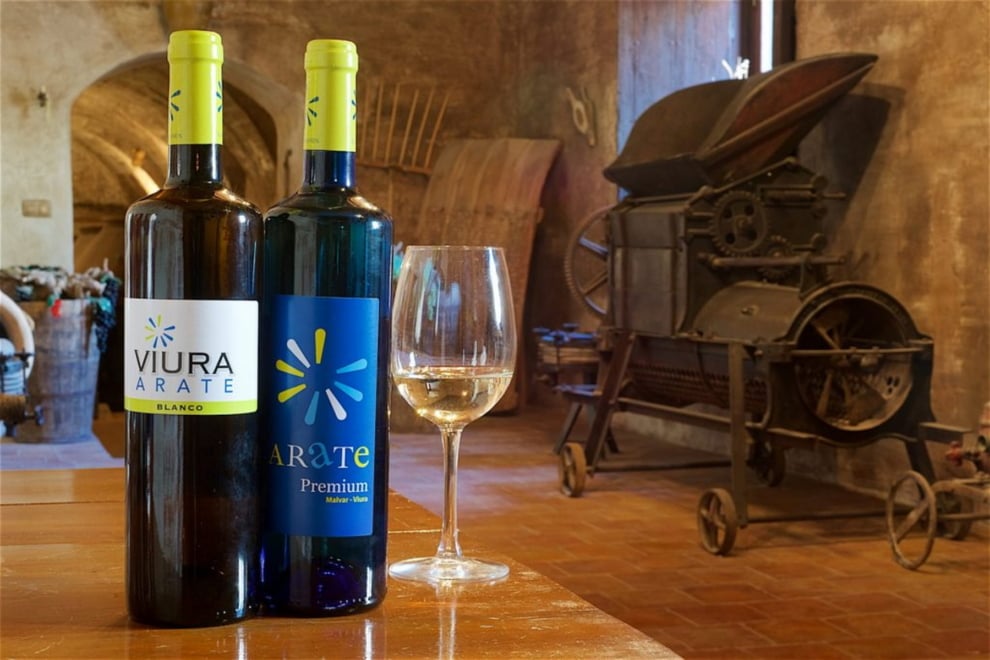 En la comarca de Las Vegas y Alcarria Madrileña se elabora más del 50% del vino total producido bajo la Denominación de Origen Vinos de Madrid