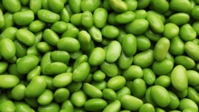Por qué deberías incluir los edamames a tu dieta diaria