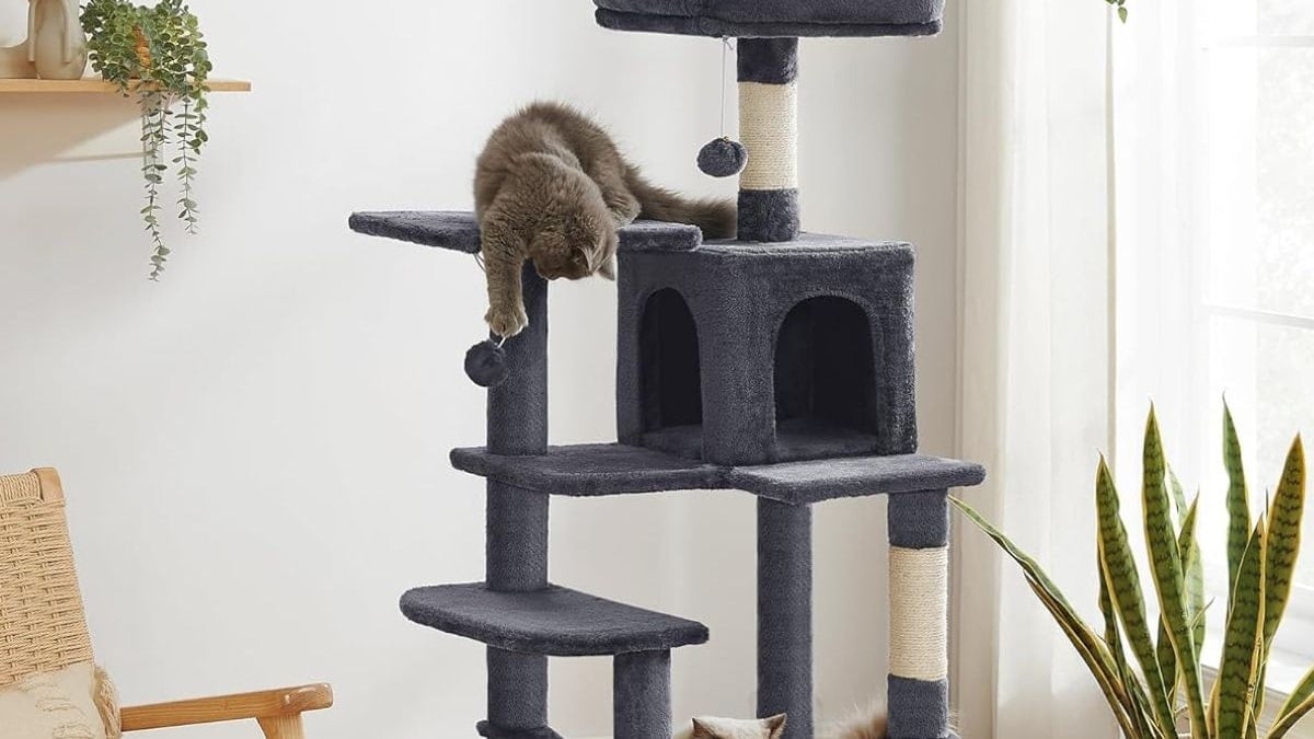 El mejor rascador de gatos con descuento