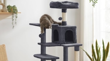 Este es el rascador para gatos con cueva y plataformas más vendido de Amazon ¡y con descuento!
