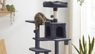 Este es el rascador para gatos con cueva y plataformas más vendido de Amazon ¡y con descuento!