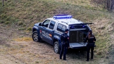 Dignidad y Justicia abre la convocatoria de sus medallas 2025 para reconocer la lucha contra el terrorismo