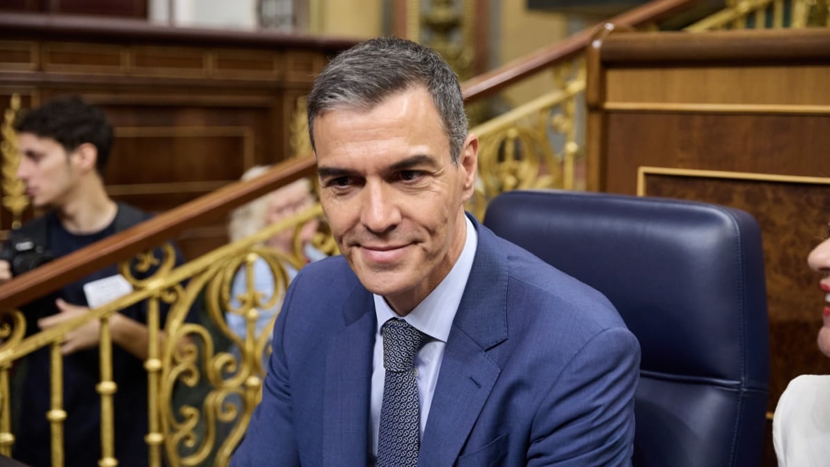 El presidente del Gobierno, Pedro Sánchez, en el Congreso.