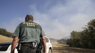 Detenido un hombre de 67 años que poseía cerca de 220 plantas de marihuana en Almería