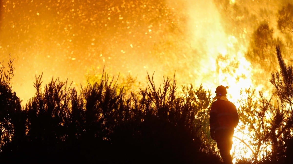 El Parque Nacional arde: pueblos sin voz, montes sin cuidado