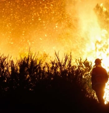 El Parque Nacional arde: pueblos sin voz, montes sin cuidado