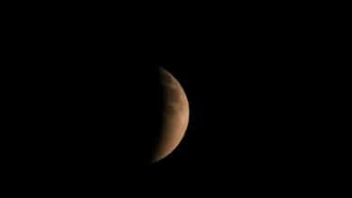 Casi un 80 % de los rusos cree en la existencia de extraterrestres, según una encuesta