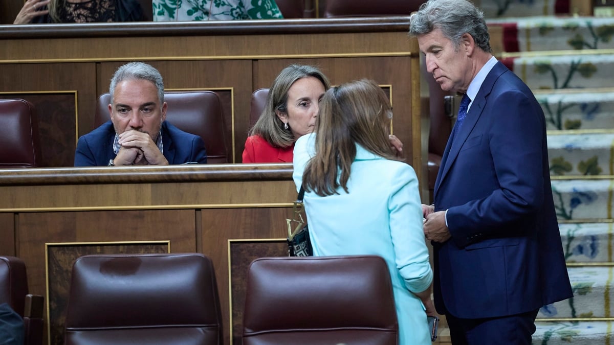 Feijóo se escuda en la posición de la UE sobre Gaza con un PP muy influido por los lobbies pro-israelíes