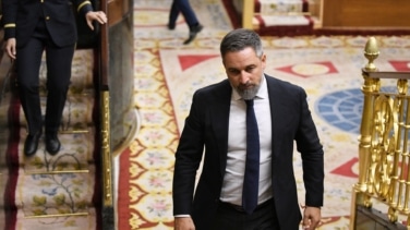 Vox se ausenta del minuto de silencio por las víctimas en Gaza celebrado en el Congreso