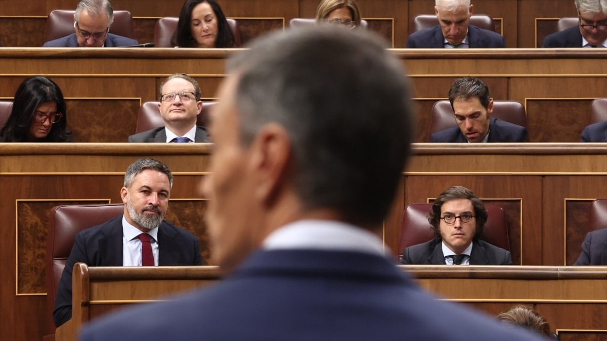 Abascal "no incita a la violencia" al decir que el pueblo querrá "colgar de los pies" a Sánchez, según el Supremo