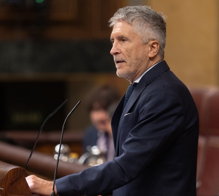 Marlaska pide no frivolizar con la 'kale borroka', "como vasco y como víctima de ETA"