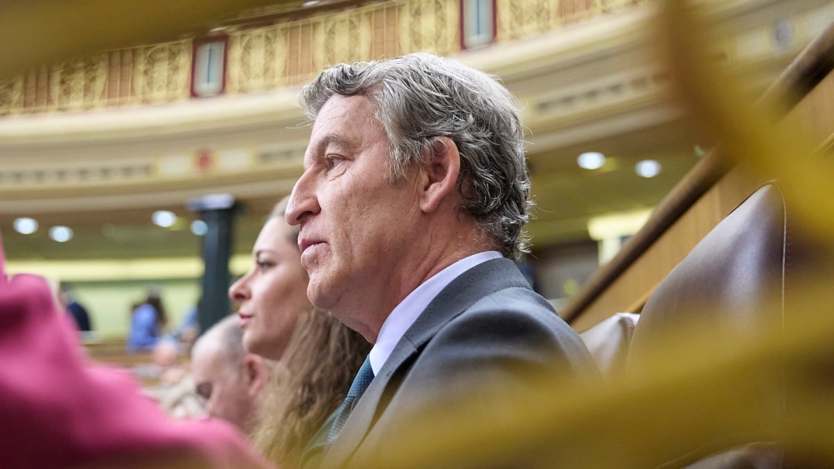 Feijóo vuelve a emplazar a los socios de Sánchez: "¿Qué pintan? ¿Por qué le sostienen?"