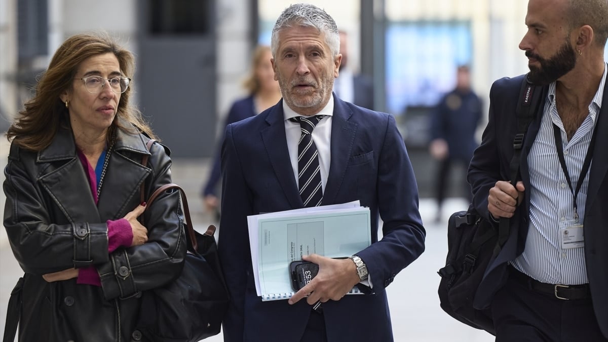 Peinado demanda también a Marlaska por vulnerar su derecho al honor