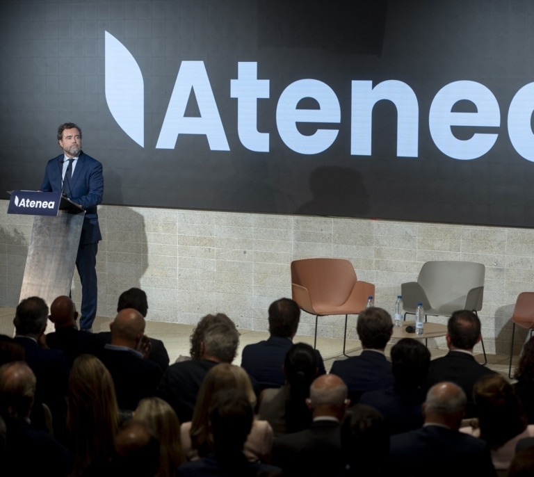 Espinosa de los Monteros: en política o de paseo