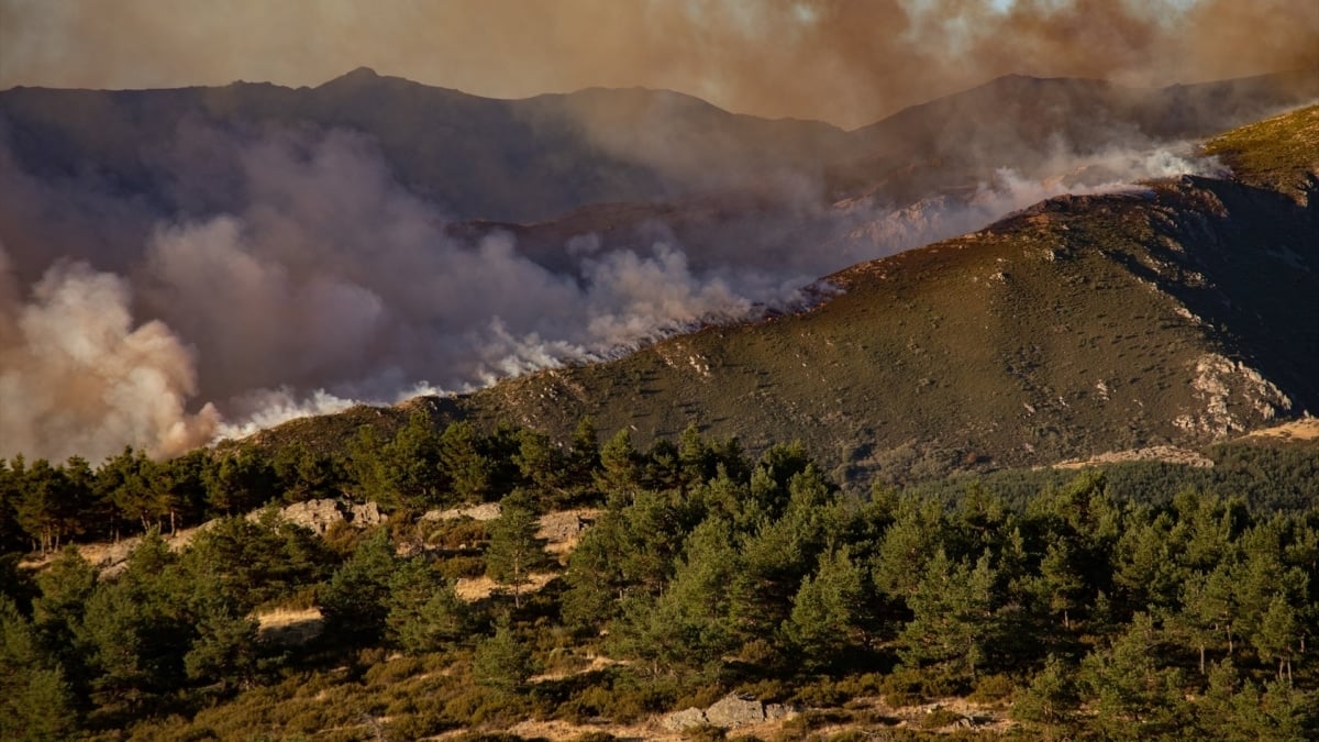 Castilla y León declara el nivel 2 de gravedad para el incendio de Peñalba tras entrar en Segovia