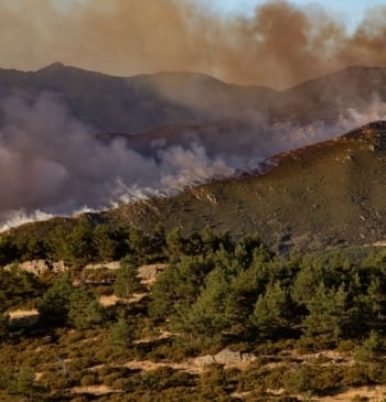 Castilla y León ha declarado de gravedad 2 el incendio de Peñalba [...]