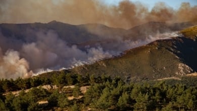 Castilla y León declara el nivel 2 de gravedad para el incendio de Peñalba tras entrar en Segovia