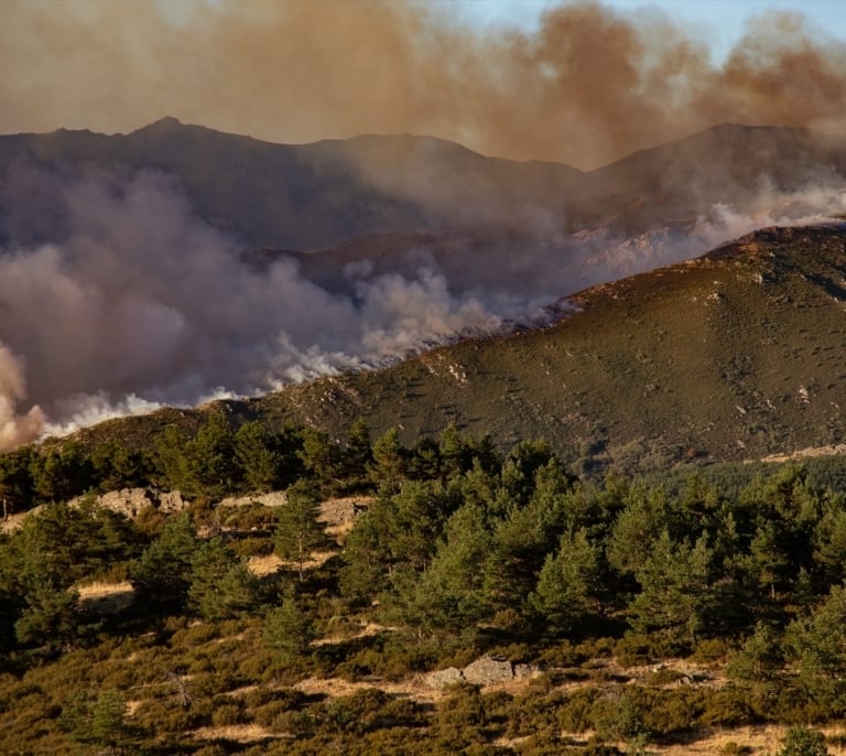 Castilla y León declara el nivel 2 de gravedad para el incendio de Peñalba tras entrar en Segovia