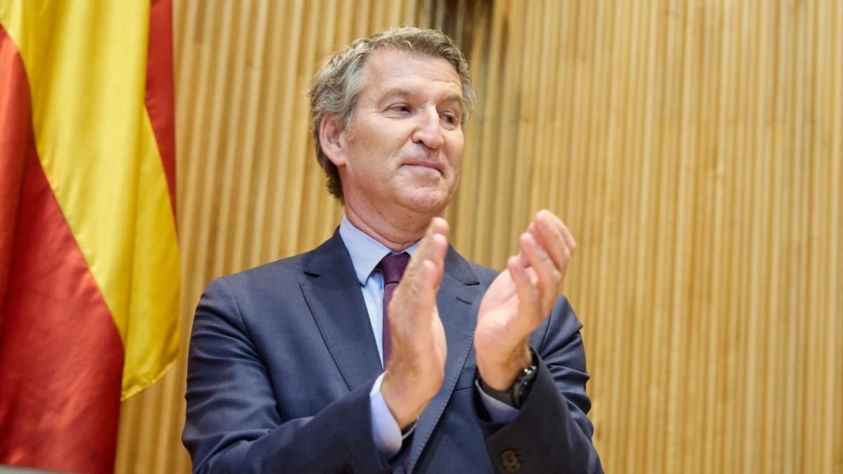 El presidente del PP, Alberto Núñez Feijóo, durante una reunión de grupos en el Congreso de los Diputados, en julio