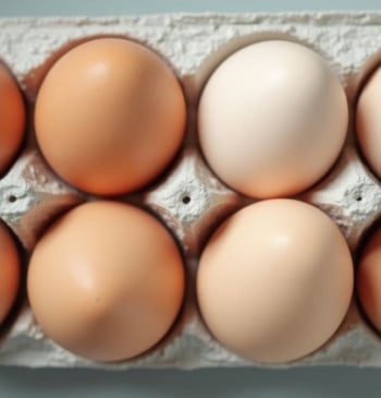 Estas es la diferencia entre los huevos de color blanco y los [...]