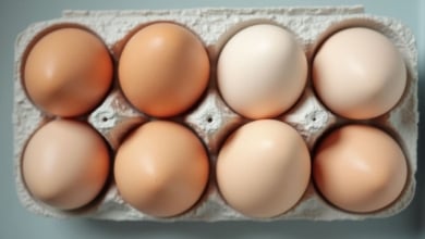 Estas es la diferencia entre los huevos de color blanco y los de color marrón
