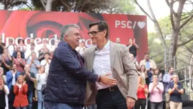 Illa en el camino de Cerdán