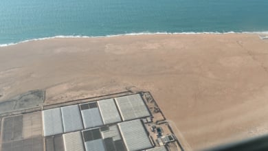 El PP se desmarca del PSOE y pide que la UE excluya el Sáhara del acuerdo comercial con Marruecos