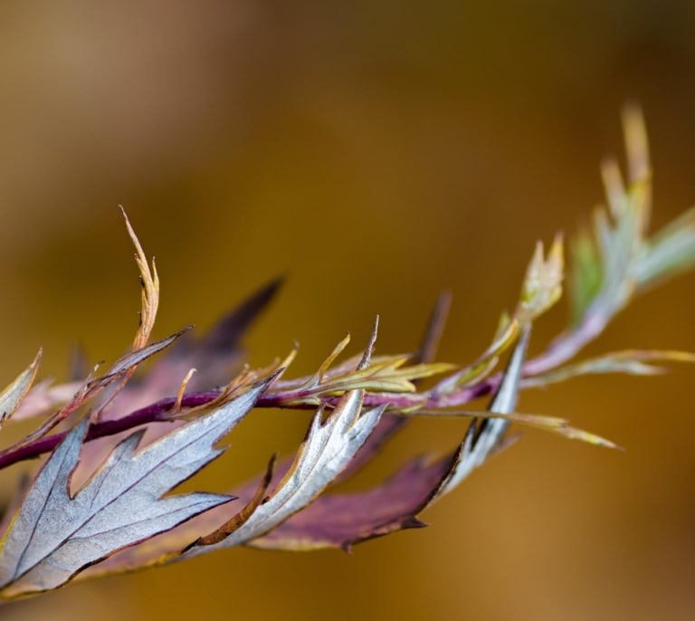 Equinoccio de otoño 2025: el fin del verano a la vuelta de la esquina