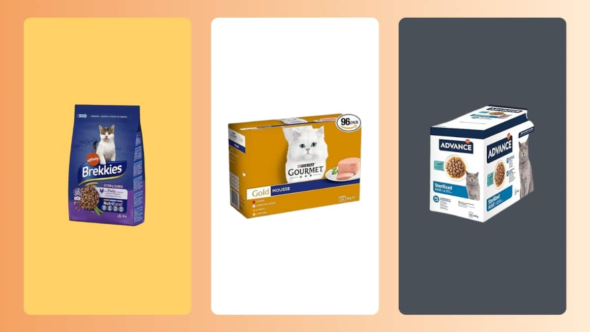 Mejor comida húmeda para gatos según los consejos de la OCU: Ranking top 7 de 2025