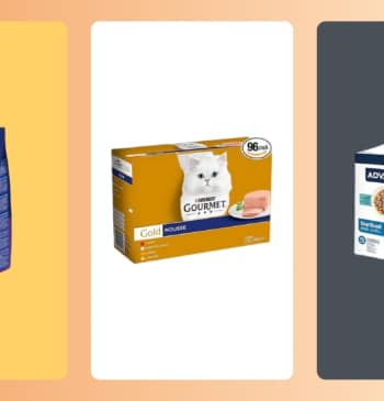 Mejor comida húmeda para gatos según los consejos de la OCU: Ranking [...]
