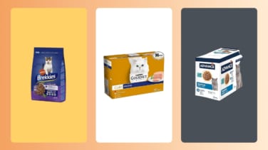 Mejor comida húmeda para gatos según los consejos de la OCU: Ranking top 7 de 2025