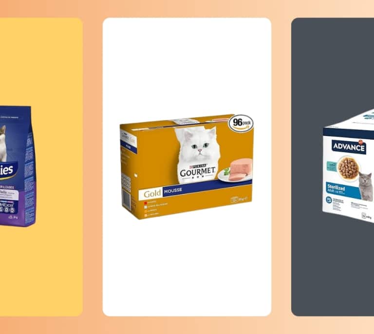 Mejor comida húmeda para gatos según los consejos de la OCU: Ranking top 7 de 2025