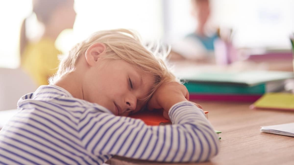 ¿Tu hijo padece narcolepsia? Estos son los síntomas que pueden ayudarte a detectarlo