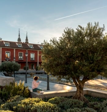 Navalcarnero, el rincón vinícola que sabe a historia