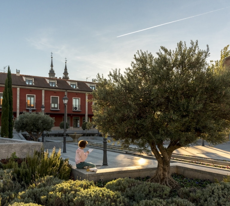 Navalcarnero, el rincón vinícola que sabe a historia