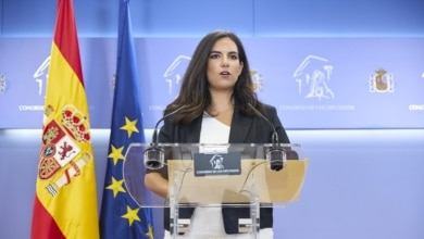 Vox califica de "pueril" la oposición del PP: "Entre el 'me gusta la fruta' y el 'limón limonero' Sánchez está temblando"