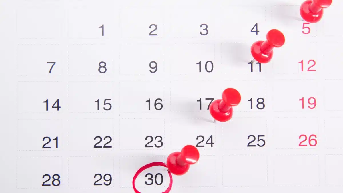 Calendario 2026