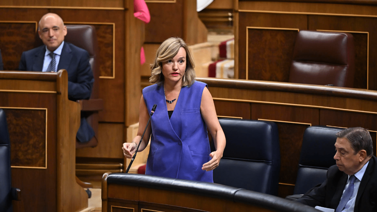 a ministra de Educación y portavoz el Gobierno, Pilar Alegría, este miércoles en el Congreso.