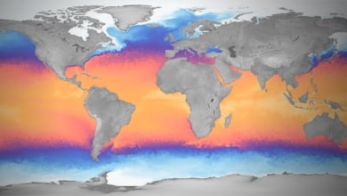 Europa advierte de la triple crisis de los océanos que amenaza la economía y la alimentación