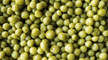 Desmantelada una red de robo de maquinaria y aceitunas en Sevilla